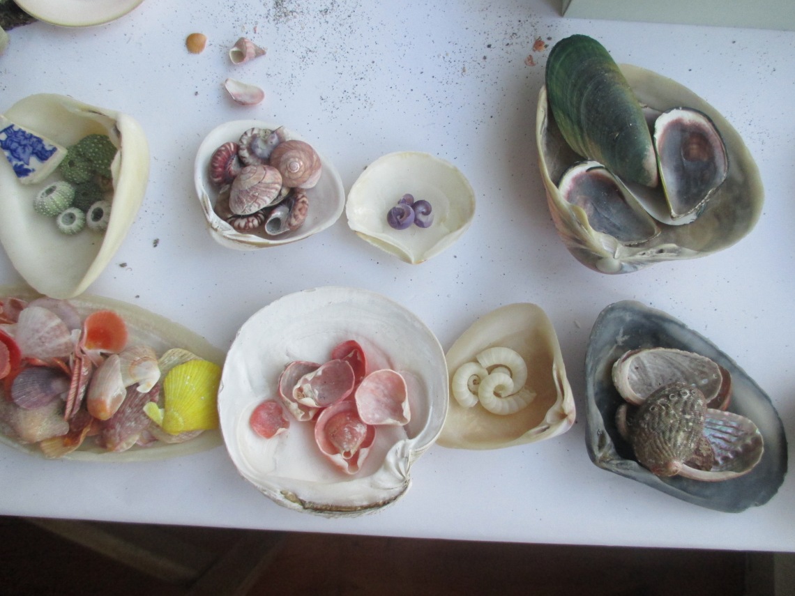 More shells in shells